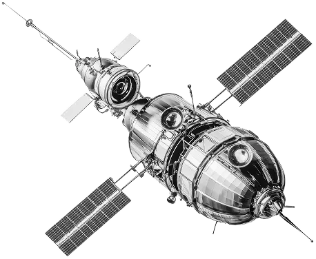 Scoop Daddy case study section graphic