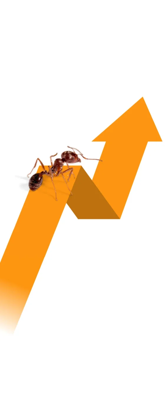 Ant walking on an upward arrow graphic representing pest problems growing in a home
